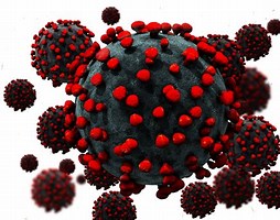 Coronavirus Quarantine