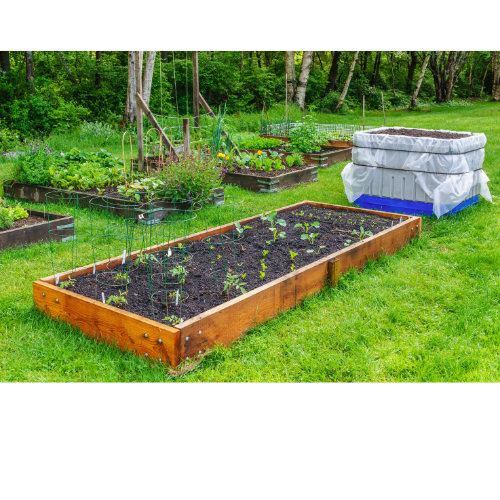 Backyard Gardening