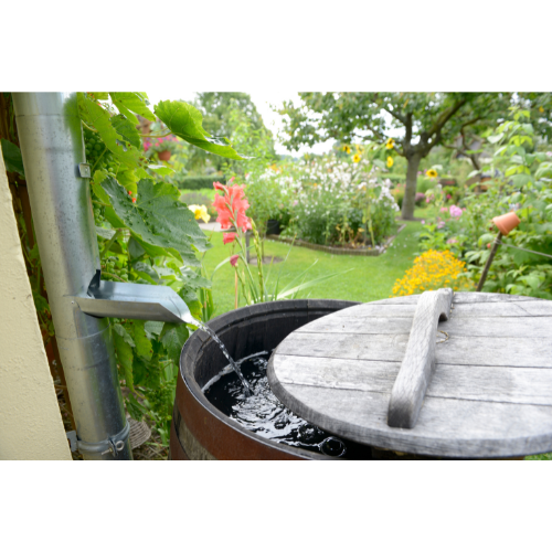 Rainwater collection